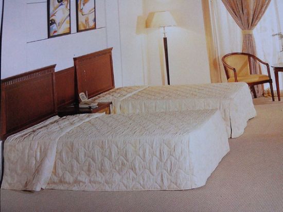 點(diǎn)擊查看詳細(xì)信息<br>標(biāo)題：客房系列 閱讀次數(shù)：2133